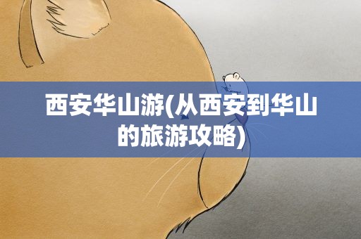 西安华山游(从西安到华山的旅游攻略)