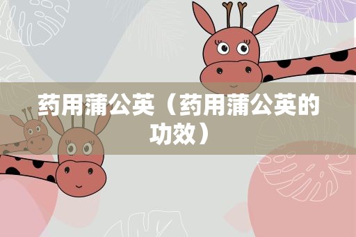 药用蒲公英（药用蒲公英的功效）