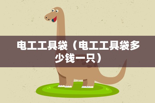 电工工具袋（电工工具袋多少钱一只）